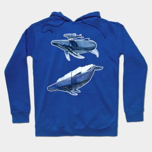 Schuylkill whales Hoodie